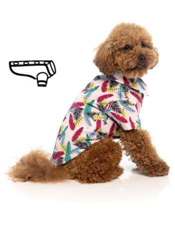 Patrón camisa perro gratis PDF